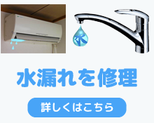 東京の蛇口の水漏れを修理